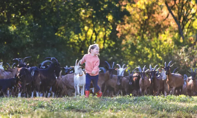 Bienvenue à la ferme - Cafés découverte 2026
