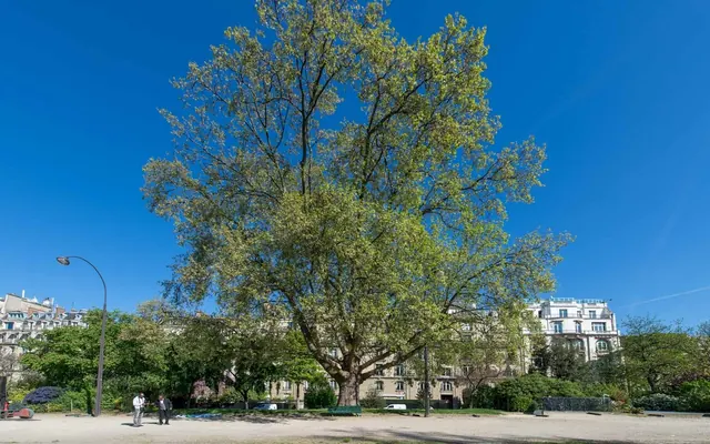 Visite : Les jardins de l'Avenue Foch
