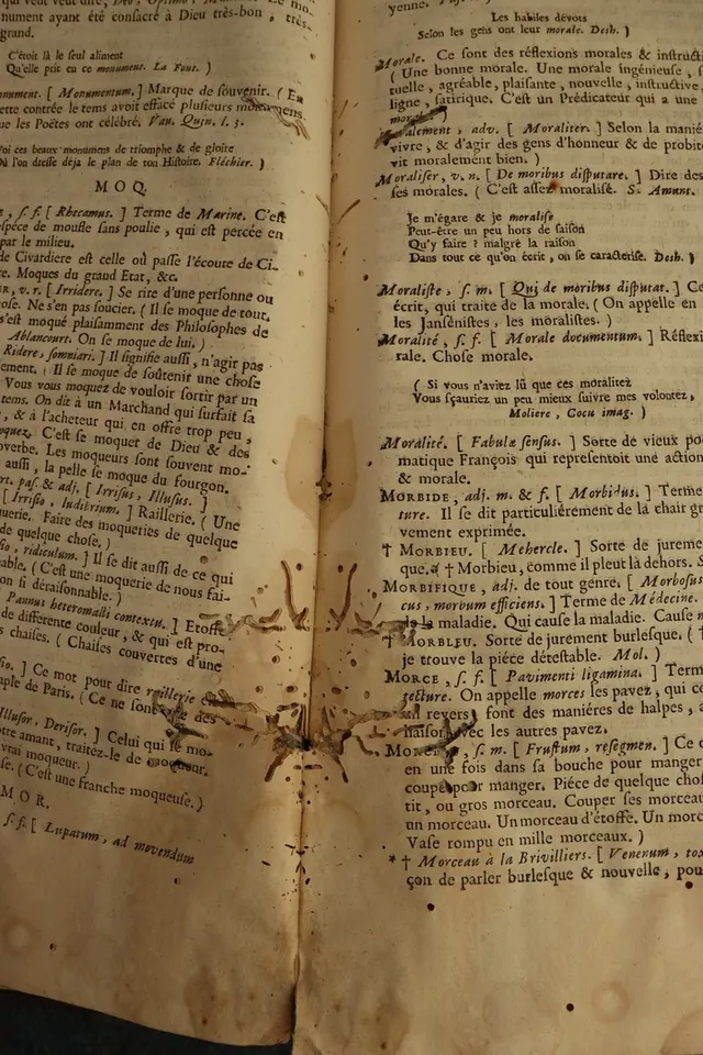 Visite guidée : les enjeux de la conservation des documents