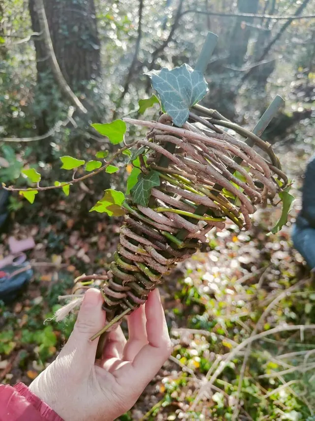 Initiation à la vannerie sauvage