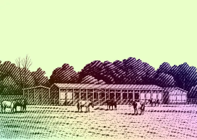 Promenade botanique à Lancy