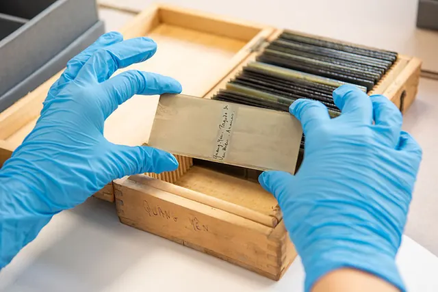 L'évolution des procédés photographiques à travers les collections des Archives nationales d’outre-mer