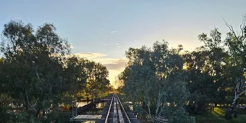 DownsSteam's South-West Rails: End of the line Tour to Thallon