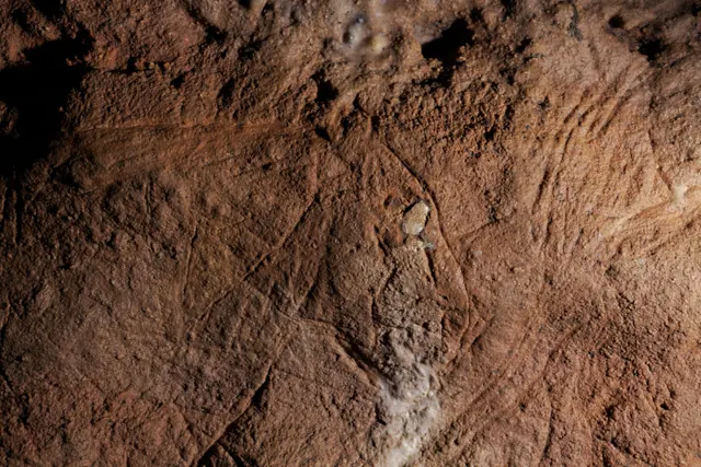 Visite commentée : découverte d'une grotte ornée du Paléolithique !