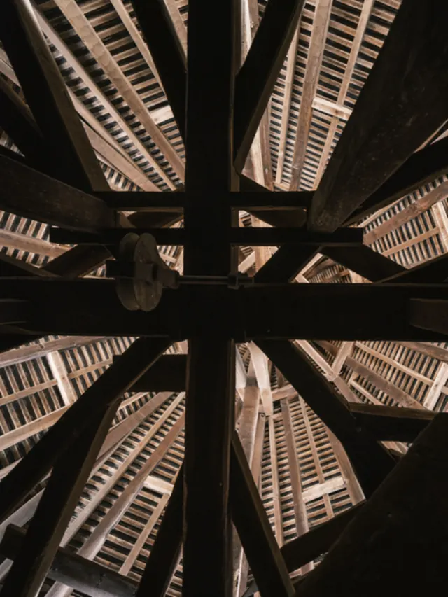 Sous les toits des cathédrales. Charpentes et combles sous le regard de huit photographes