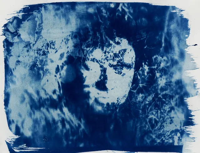 Image par image : animation en cyanotype