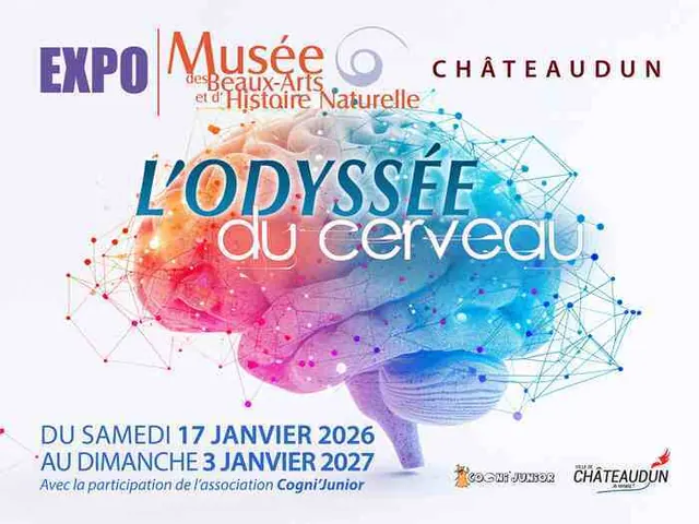 L'odyssée du cerveau