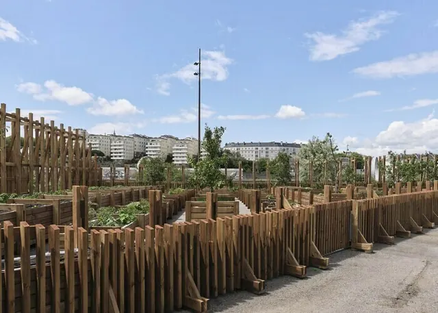 Le Potager de la Cantine