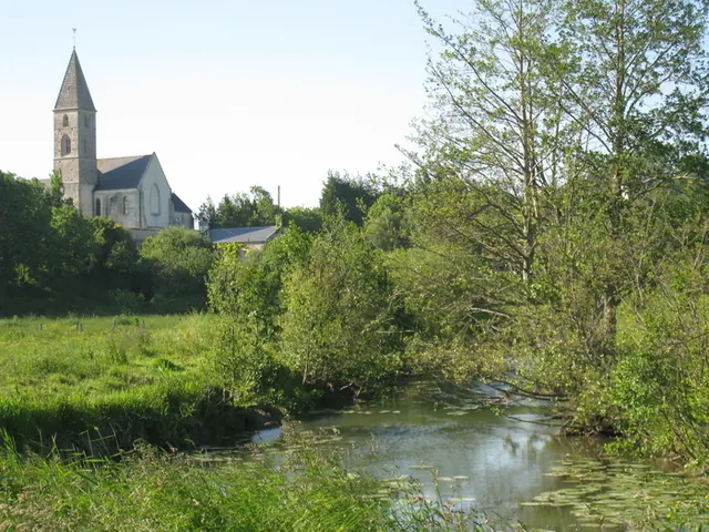 Visite guidée de l'église