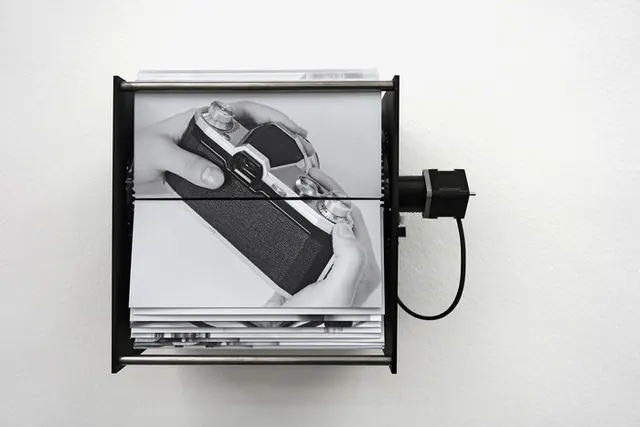 Exposition monographique d'Isabelle Le Minh, A Rose is a Rose is the Last Rose of Summer