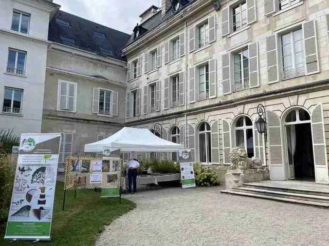 Venez découvrir une exposition photo sur des arbres remarquables