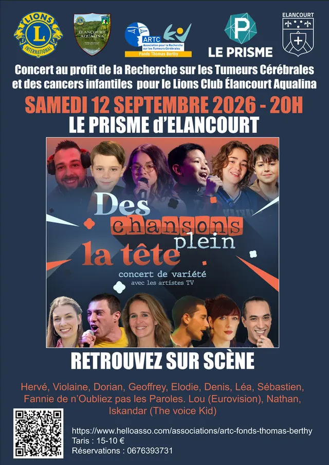 DES CHANSONS PLEIN LA TETE