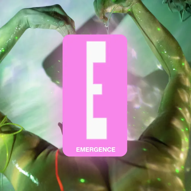 Dictionnaire (presque) complet de la photographie • E - Emergence • Circulation(s) • Réseau LUX