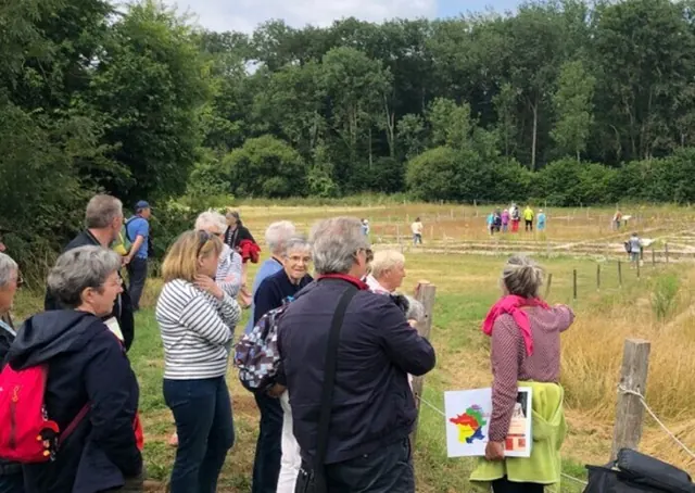 Visites guidées et commentées