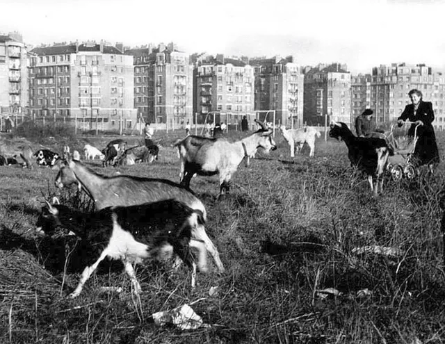 Visite de la Porte Montmartre
