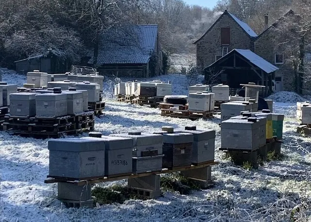 Portes ouvertes à la miellerie de L'Abeille Cool à Château-Gontier