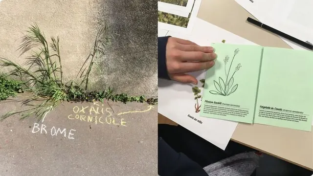 Atelier de graffiti botanique