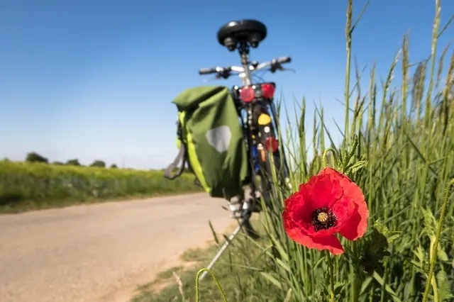 Brevet cyclo dans le cadre du téléthon