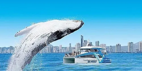 WHALE WATCHING CRUISE