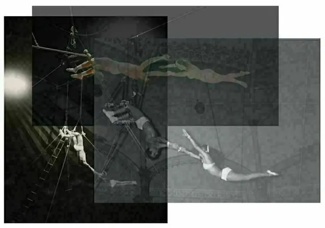 Suzanne : une histoire du cirque