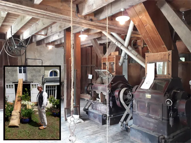 Visite guidée du Moulin de La Gouspillère