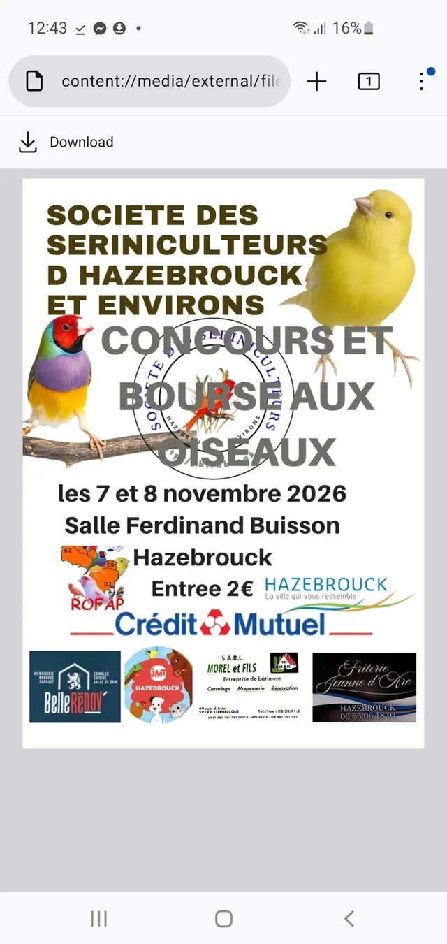 Exposition d'oiseaux