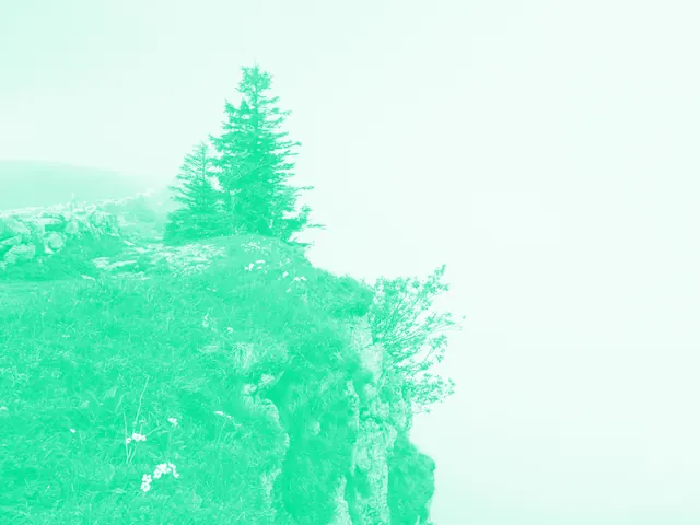 Insân