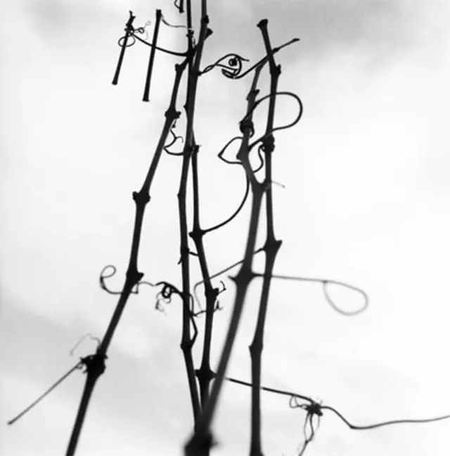 Exposition La profondeur des champs, une collection photographique départementale dédiée à la ruralité