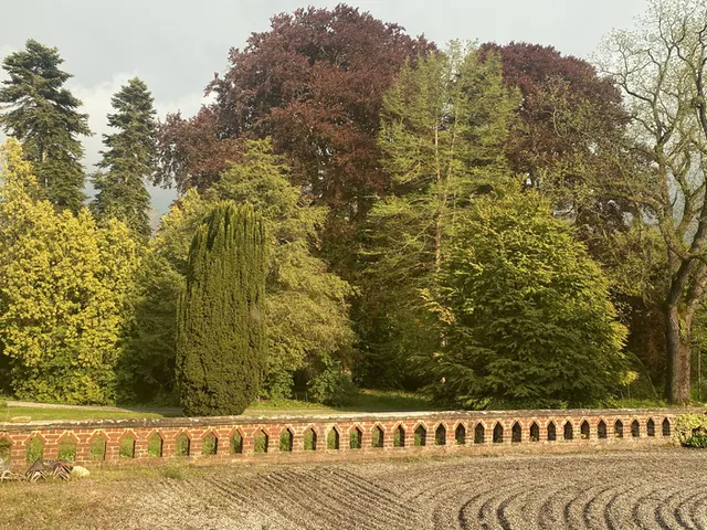 Visite d'un parc avec des arbres remarquables (7 hectares) et de l’intérieur du château de Rametz