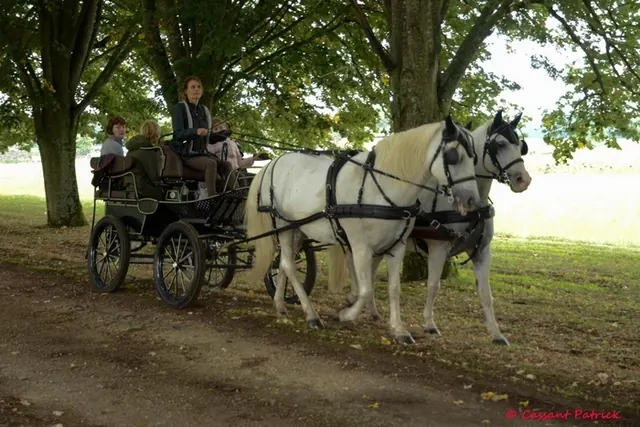 Rallye équestre