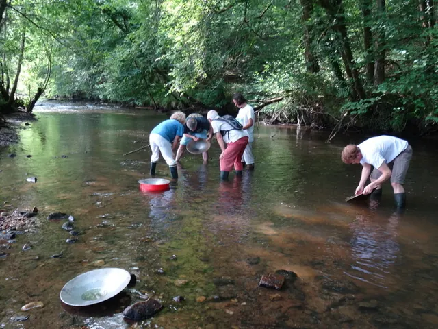 Atelier : découvrez l'orpaillage en rivière !