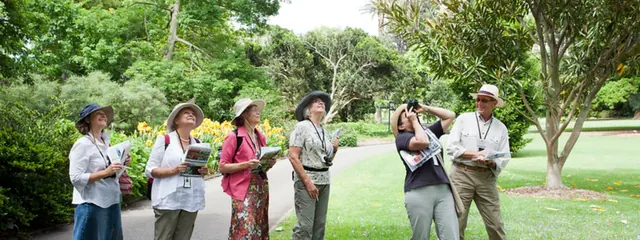 Guided walks