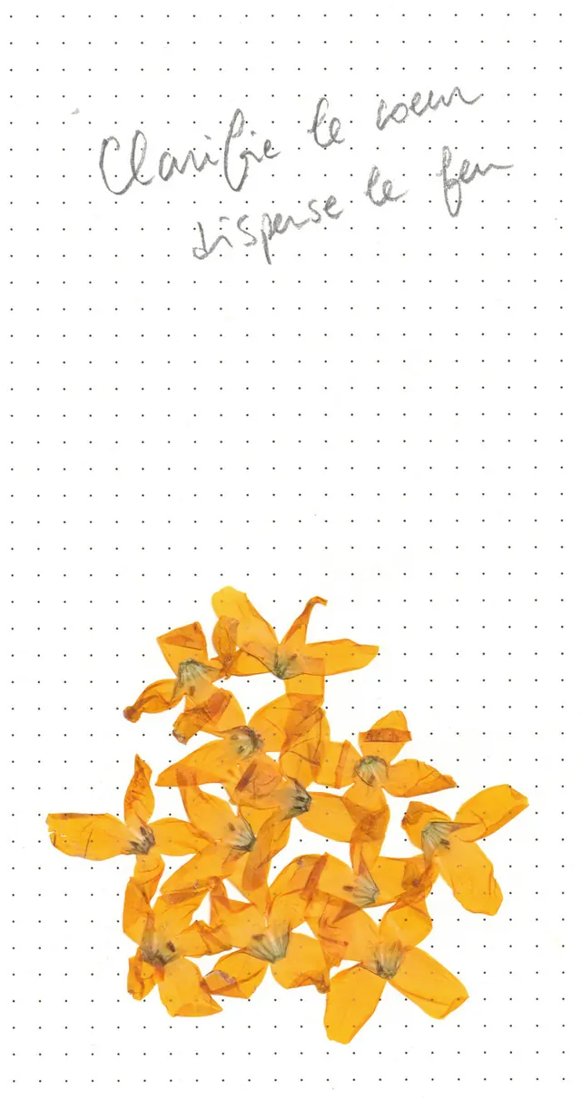 Exposition : "Clarifie le coeur disperse le feu" de Socheata Canto-Aing