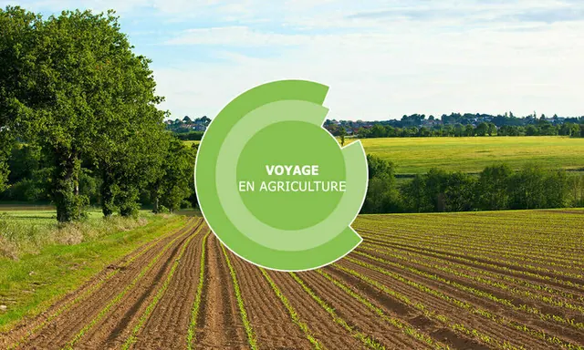 Voyage en agriculture - Elevage - Châteaubriant (44)