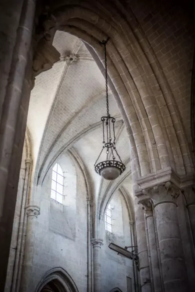 Visite de la Collégiale Saint-Liphard
