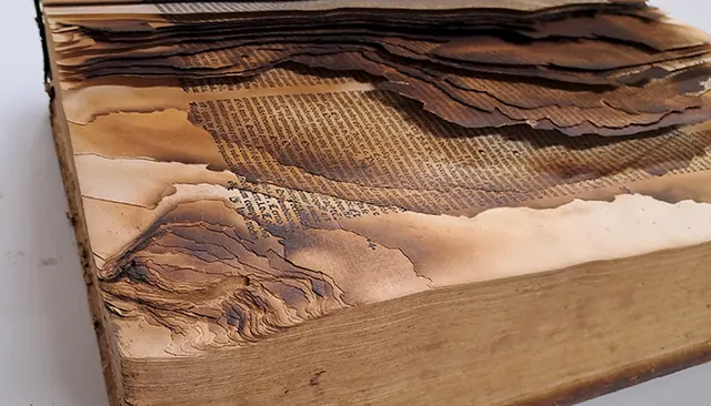 Les livres moches du Patrimoine