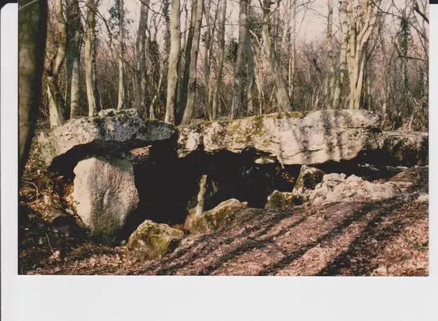Visite guidée d'une allée couverte néolithique