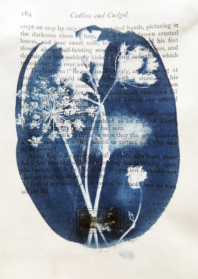 Atelier d'initiation au cyanotype