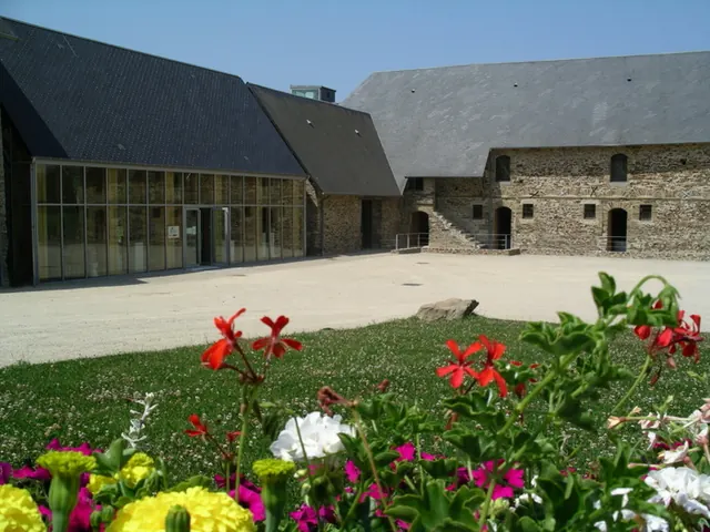 Visite guidée des réserves du musée