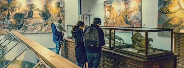 Visite guidée du musée de géologie