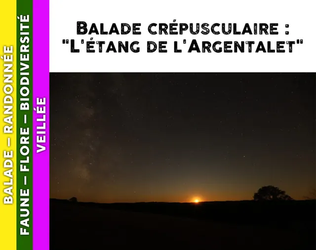MORVAN - Balade crépusculaire : l’étang de l’Argentalet