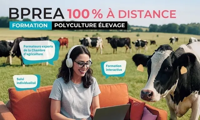 Webinaire - Présentation du BPREA à distance
