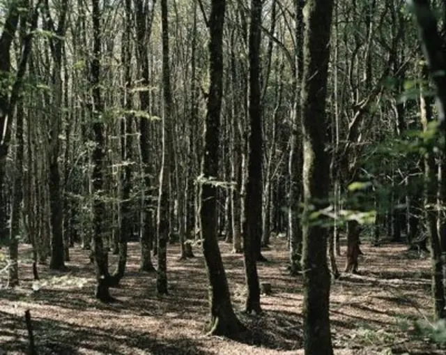 Exposition « Sur les pas de d’Arthur Batut » Nicolas Fremiot