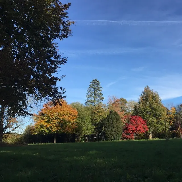 Visite libre du parc du chateau de Pouvrai