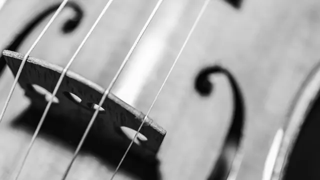 Concert "Octet de violoncels"
