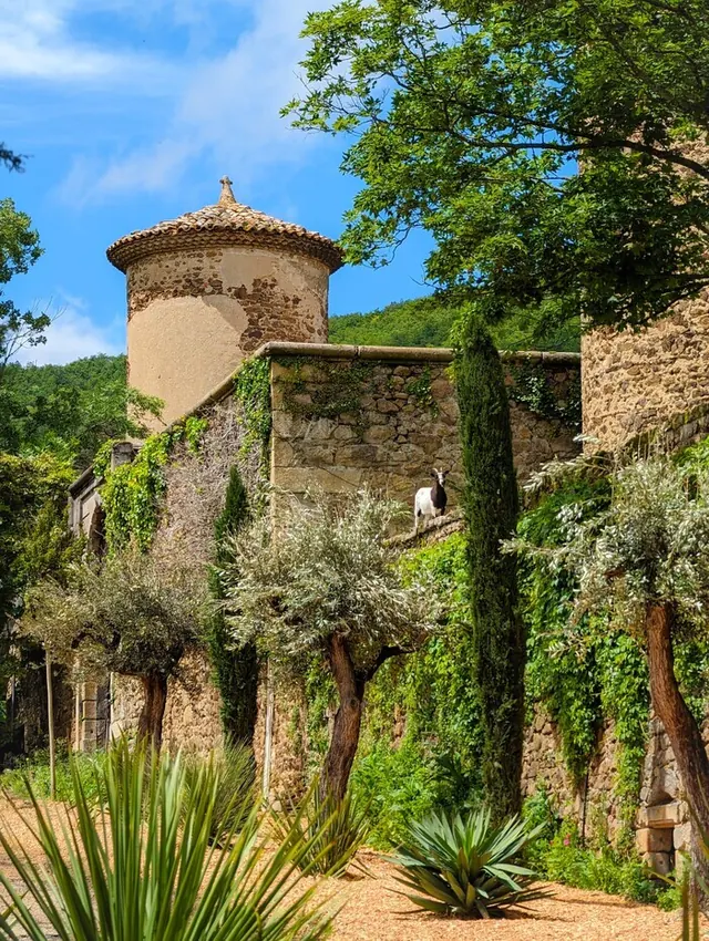 Présentation de l'avancement des travaux du château