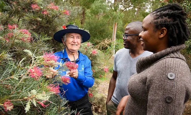 Free guided tours - City Botanic Gardens