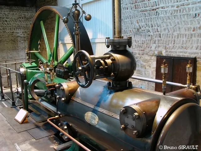 Visite libre du musée