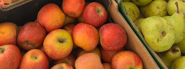 Oxford Street Farmers Market